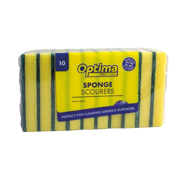 10 Large Sponge Scourers