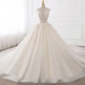 Sexy Backless A-Line Wedding Dresses Appliques Lace Royal Train Tulle Bride Gown