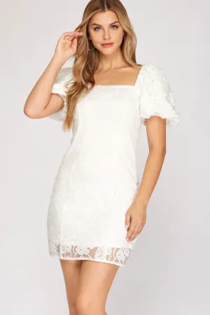 Short Sleeve Organza Mini Dress