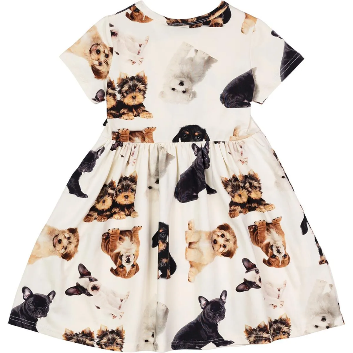 Short Sleeve Puppies Dress | Puppies Print | Rock Your Baby