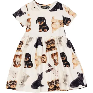 Short Sleeve Puppies Dress | Puppies Print | Rock Your Baby